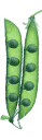 Peas in a pod.